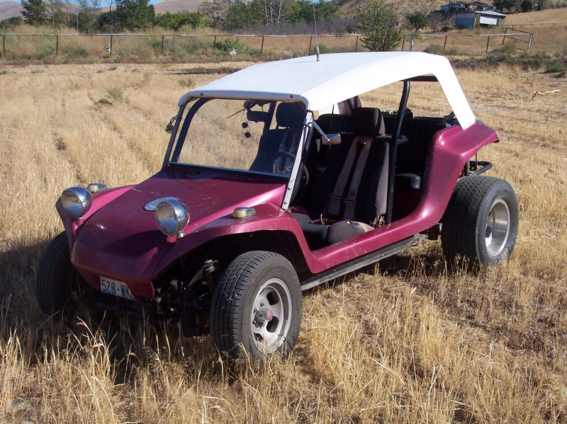 Manx Buggy