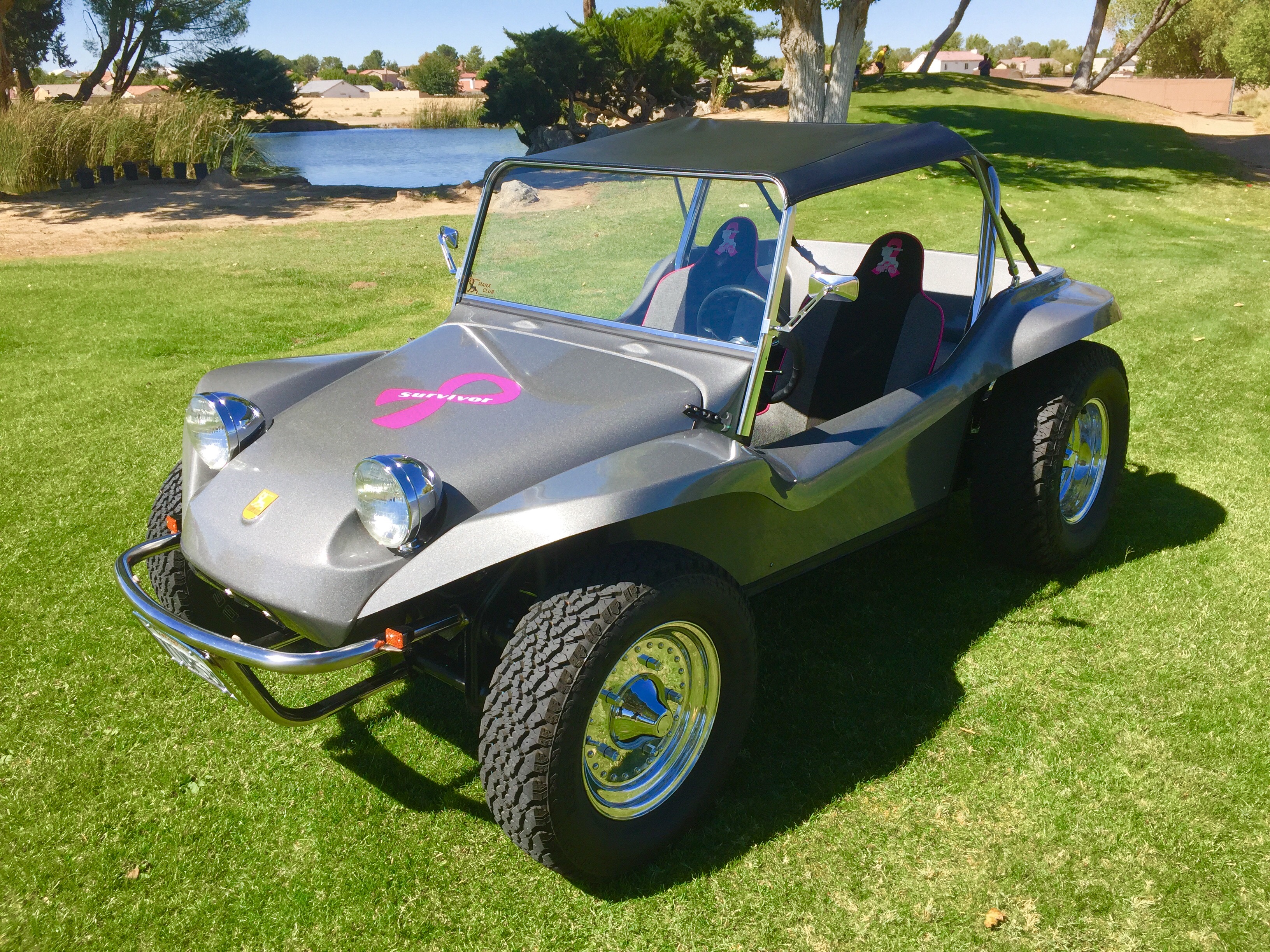 Manx Buggy