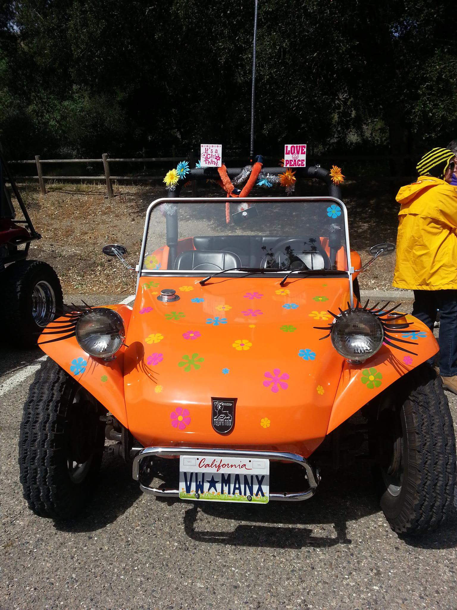 Manx Buggy
