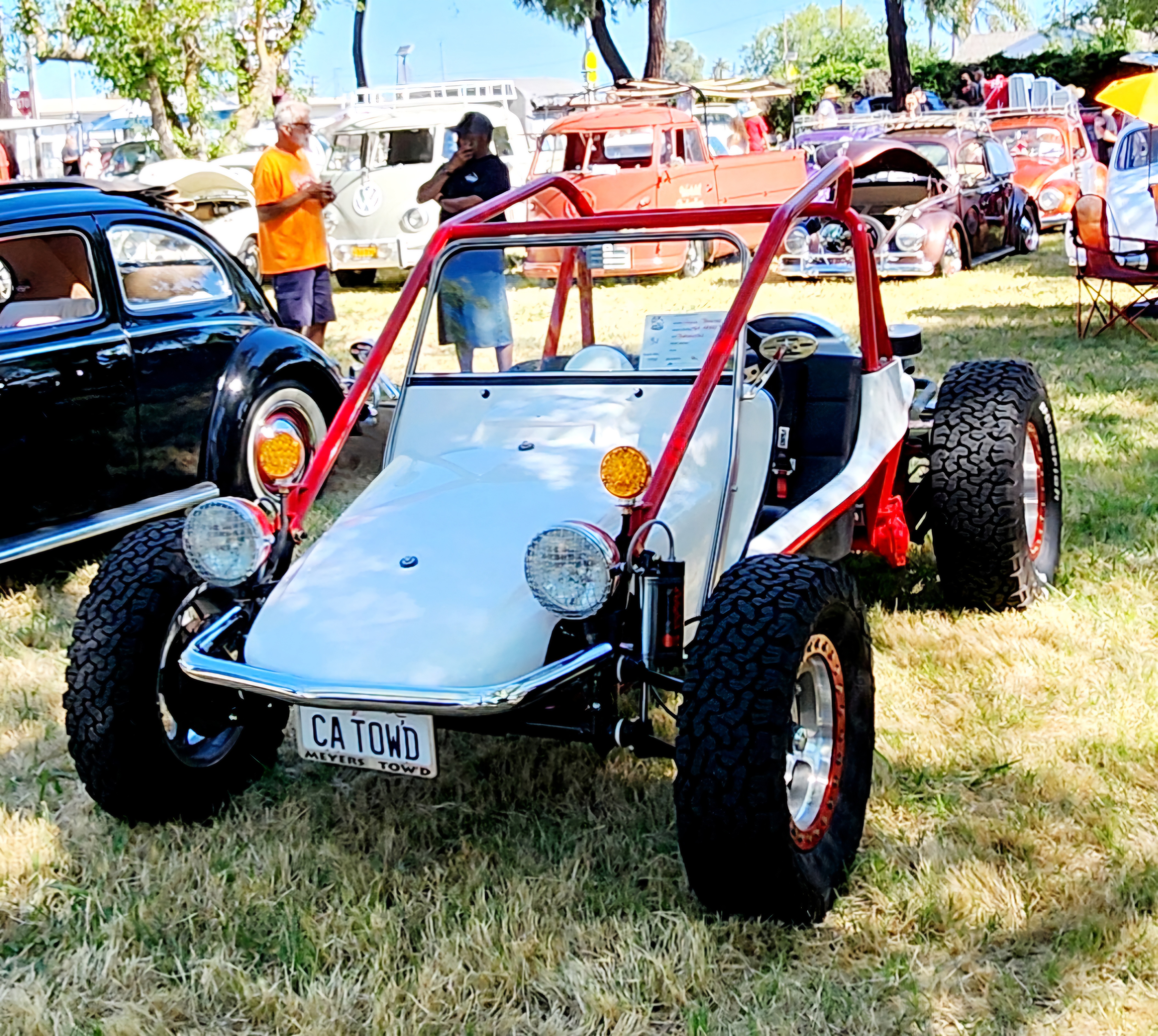 Manx Buggy