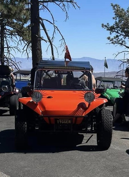 Manx Buggy