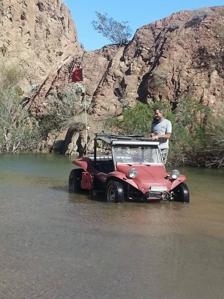 Bonnie Green in the water