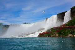 FB IMG 1435379374584