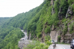 Hawks Nest28