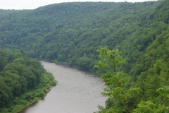 Hawks Nest31