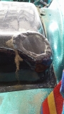 wet sand5