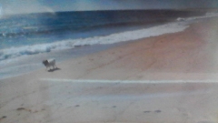 WIN 20180526 06 08 03 Pro