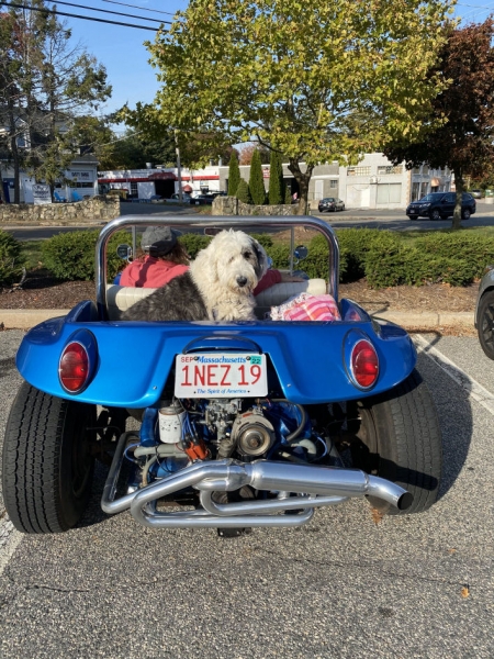 Manx new sidewinder exhaust