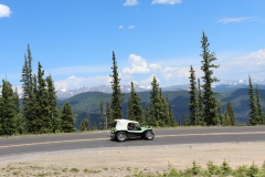 ecvw14 Pikes Peak, Colorado Kermit