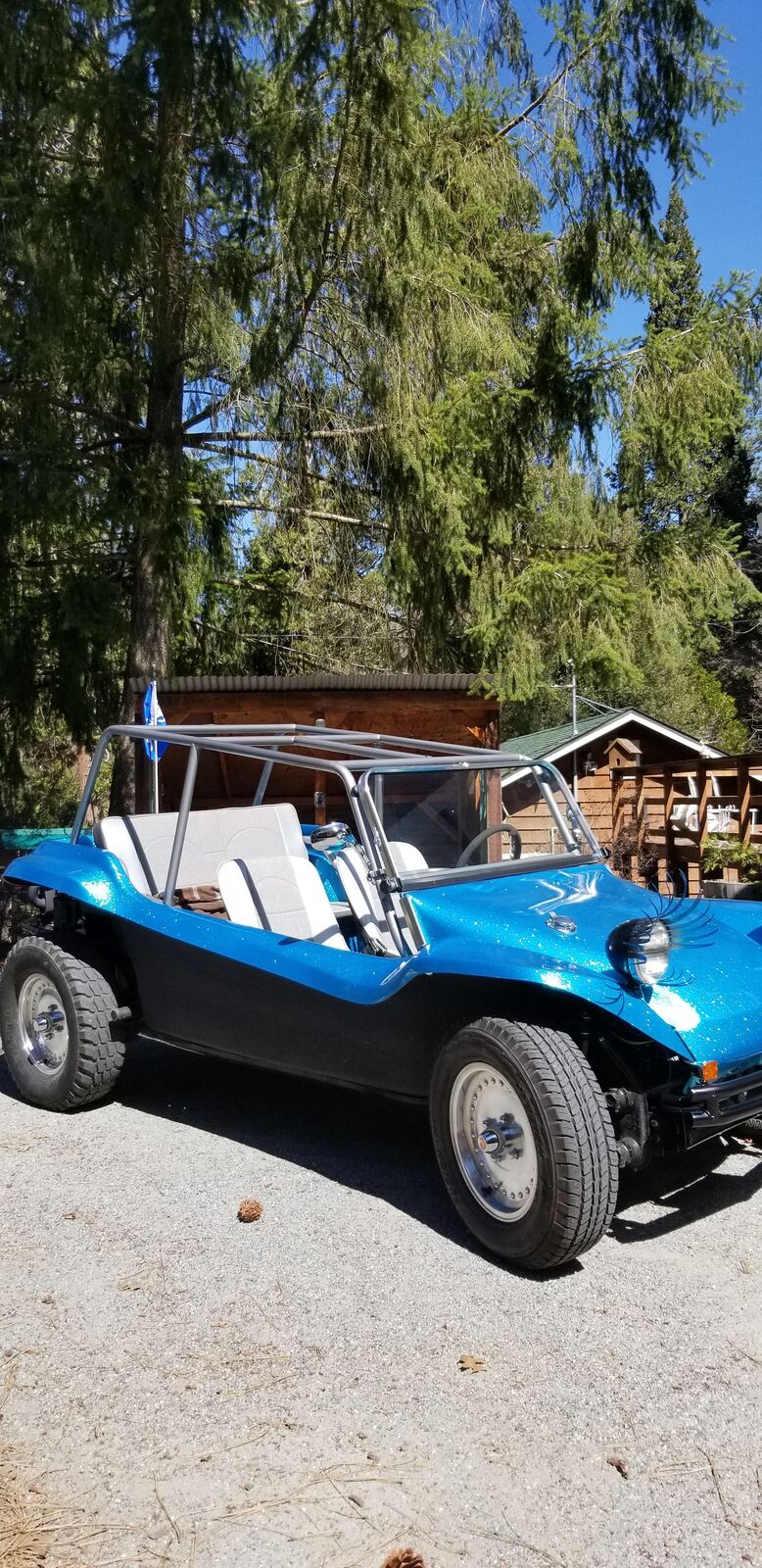 A Manx Club member's buggy