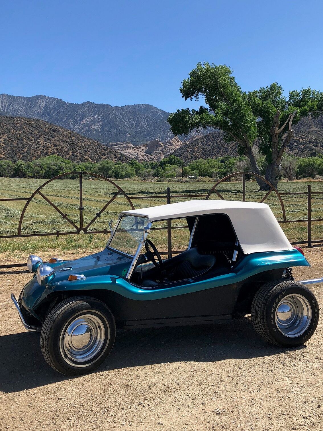 A Manx Club member's buggy